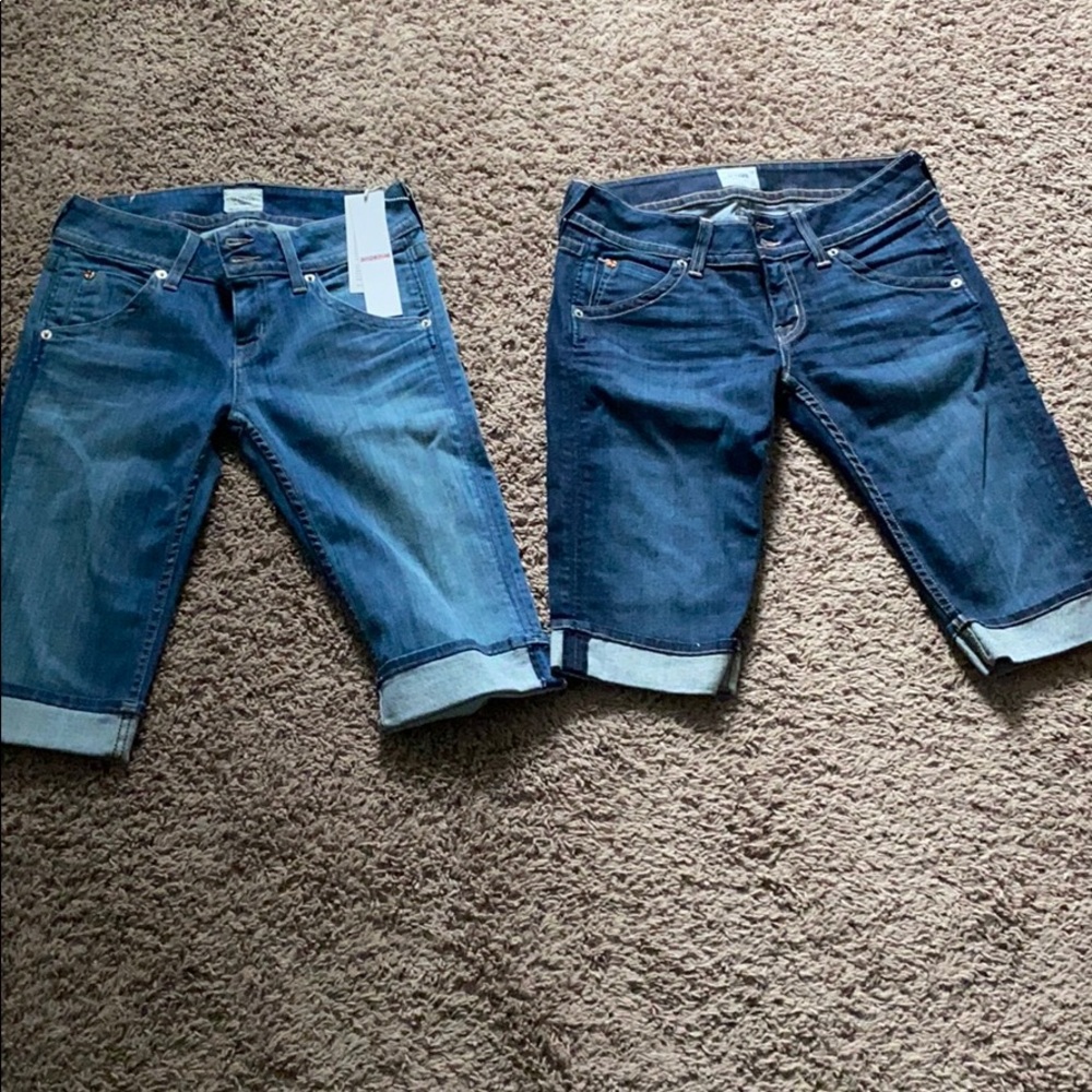 2 PAIRS of Hudson Palerme Shorts